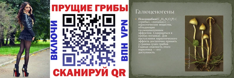 Галлюциногенные грибы прущие грибы  Купить где  Сретенск 